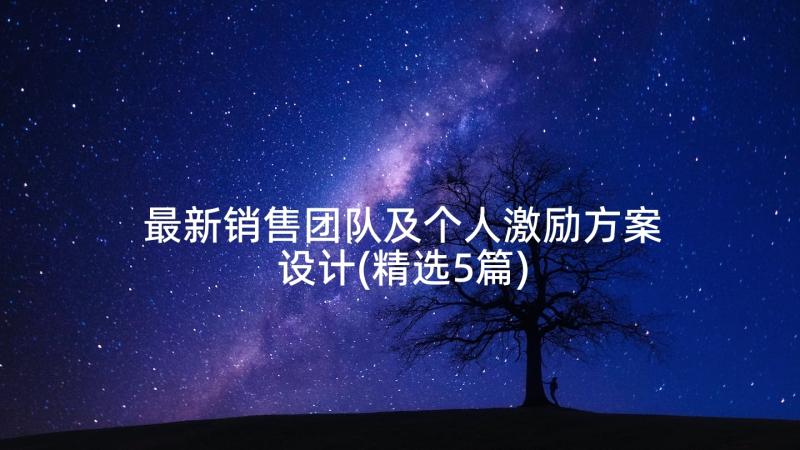 最新销售团队及个人激励方案设计(精选5篇)