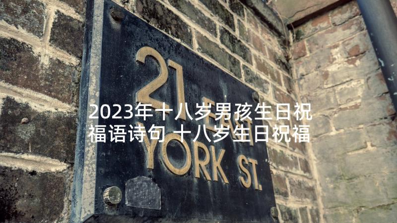 2023年十八岁男孩生日祝福语诗句 十八岁生日祝福语(精选7篇)