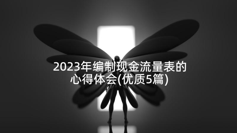 2023年编制现金流量表的心得体会(优质5篇)