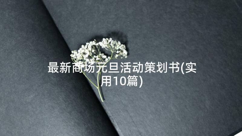 最新商场元旦活动策划书(实用10篇)