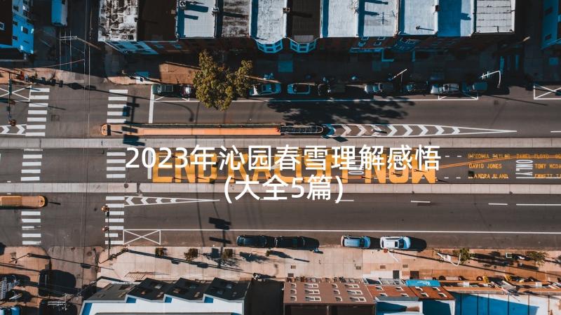 2023年沁园春雪理解感悟(大全5篇)