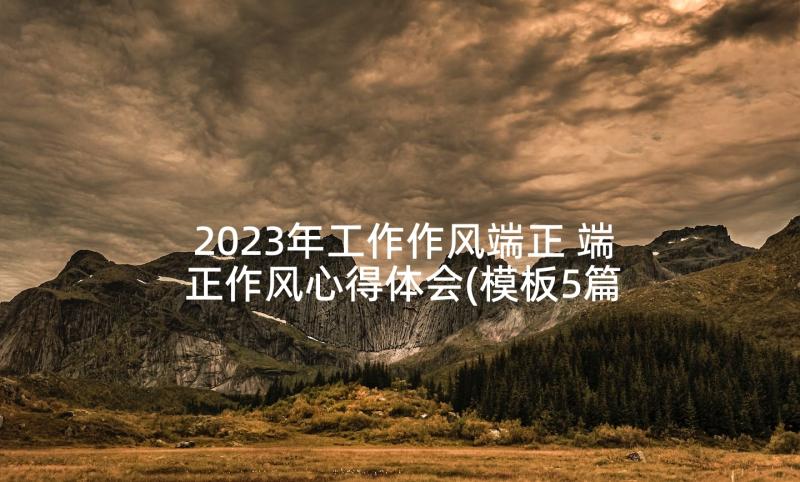 2023年工作作风端正 端正作风心得体会(模板5篇)