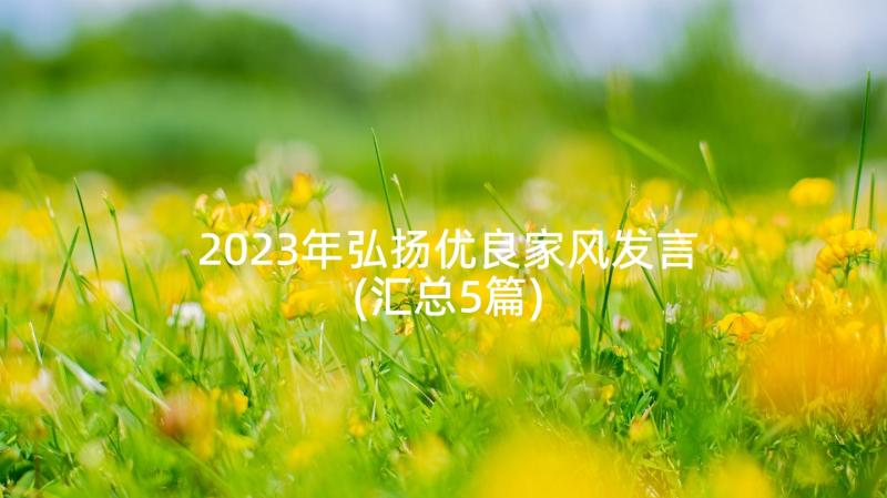 2023年弘扬优良家风发言(汇总5篇)