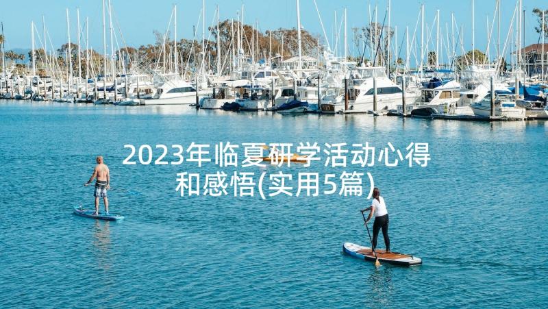 2023年临夏研学活动心得和感悟(实用5篇)