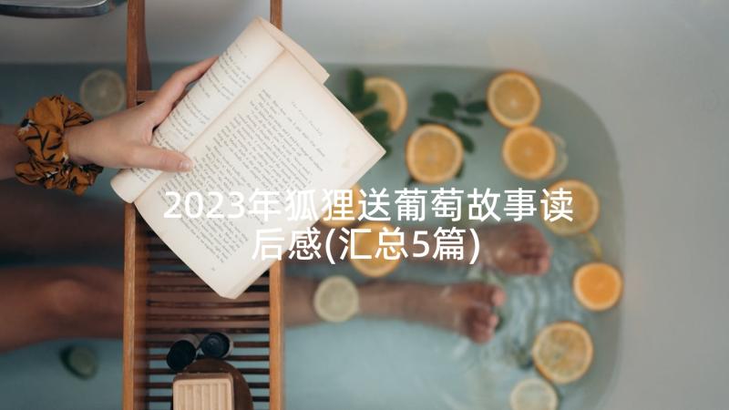 2023年狐狸送葡萄故事读后感(汇总5篇)