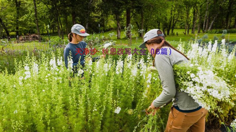 天净沙·秋思改写大全（18篇）