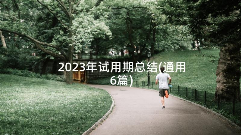 2023年试用期总结(通用6篇)