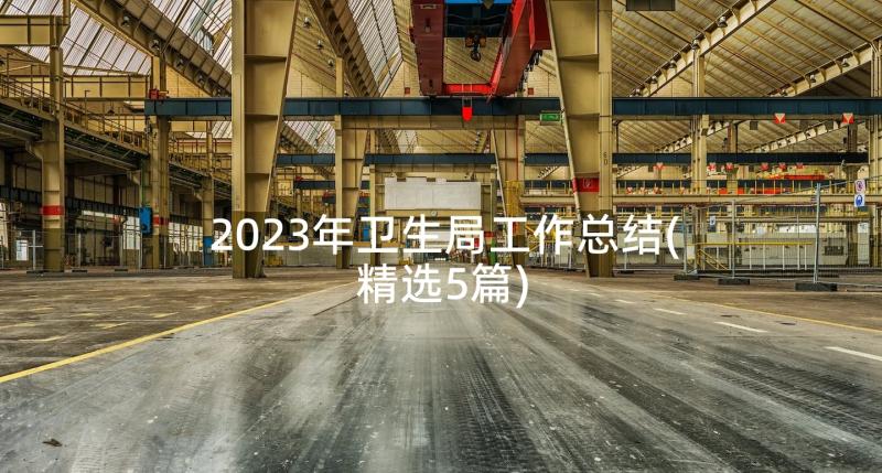 2023年卫生局工作总结(精选5篇)