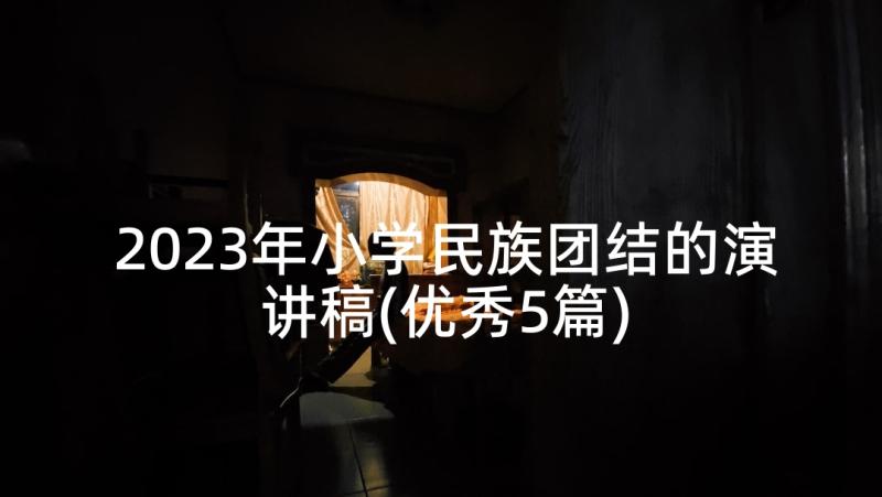 2023年小学民族团结的演讲稿(优秀5篇)