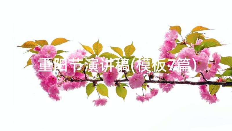 重阳节演讲稿(模板7篇)