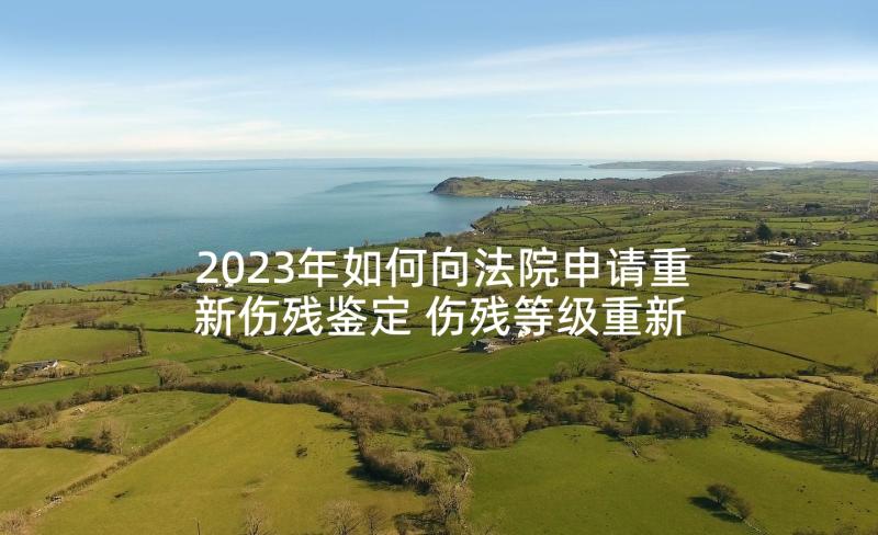 2023年如何向法院申请重新伤残鉴定 伤残等级重新鉴定申请书(精选5篇)