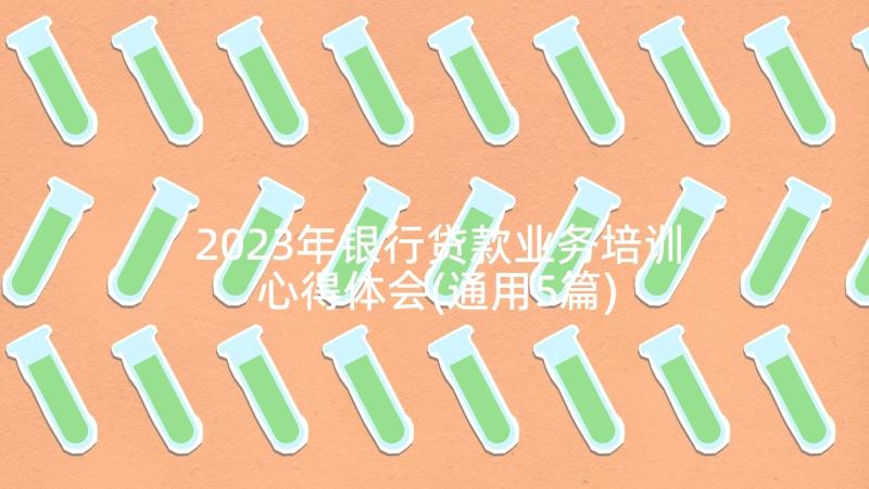 2023年银行贷款业务培训心得体会(通用5篇)