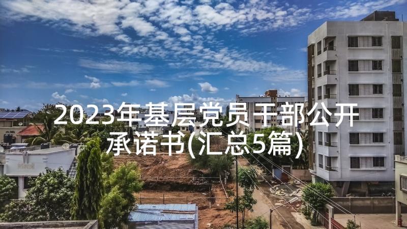 2023年基层党员干部公开承诺书(汇总5篇)