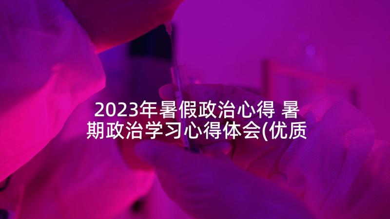 2023年暑假政治心得 暑期政治学习心得体会(优质8篇)