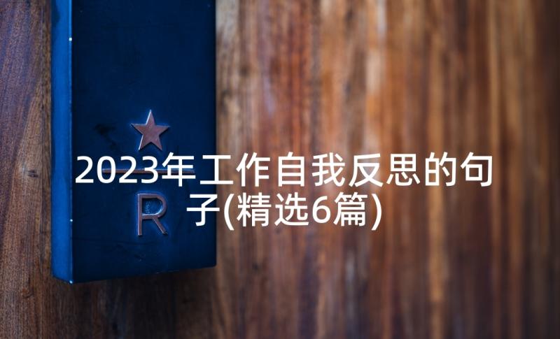 2023年工作自我反思的句子(精选6篇)