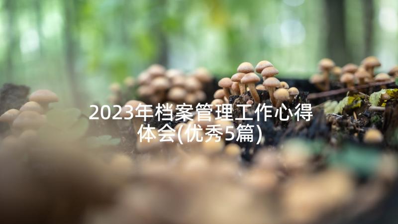 2023年档案管理工作心得体会(优秀5篇)