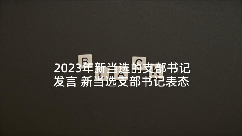 2023年新当选的支部书记发言 新当选支部书记表态发言(通用5篇)