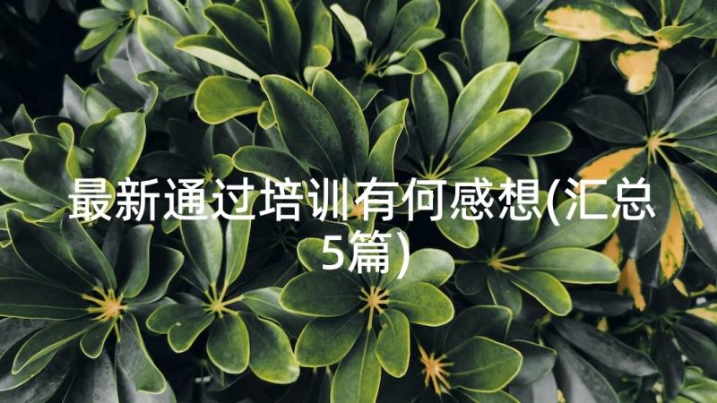 最新通过培训有何感想(汇总5篇)