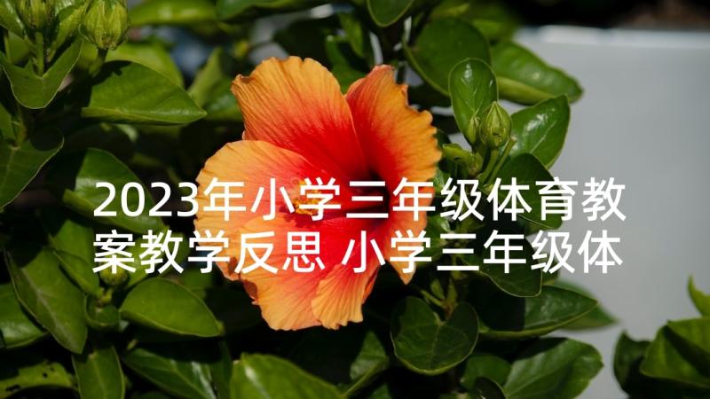 2023年小学三年级体育教案教学反思 小学三年级体育教案(汇总6篇)