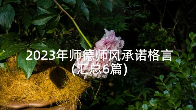 2023年师德师风承诺格言(汇总6篇)