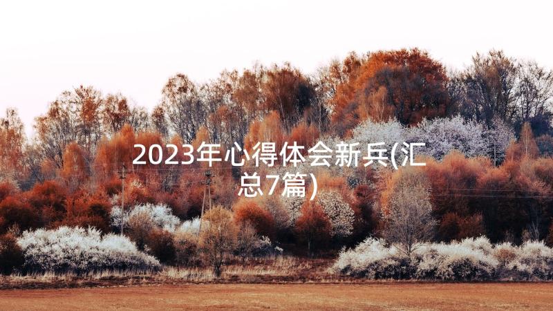 2023年心得体会新兵(汇总7篇)