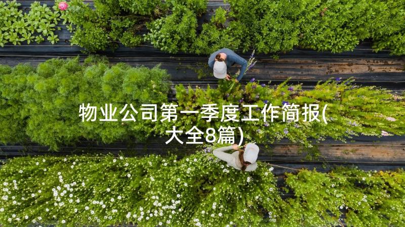 物业公司第一季度工作简报(大全8篇)