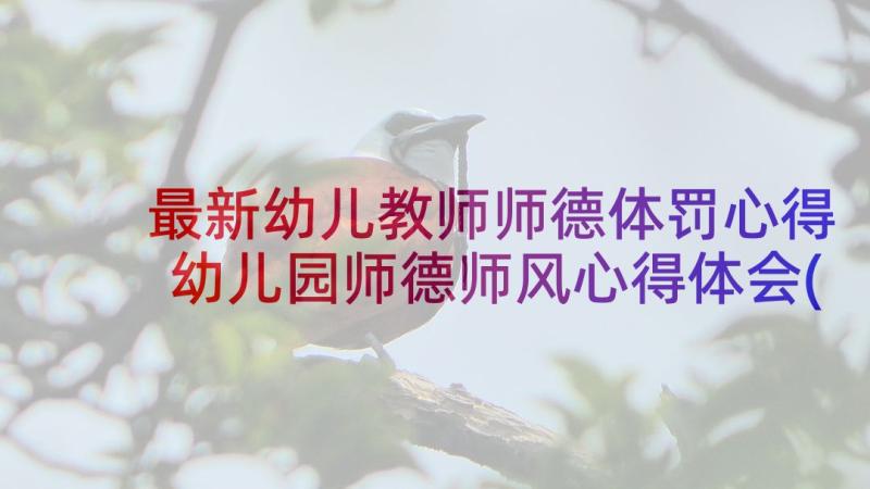 最新幼儿教师师德体罚心得 幼儿园师德师风心得体会(精选6篇)