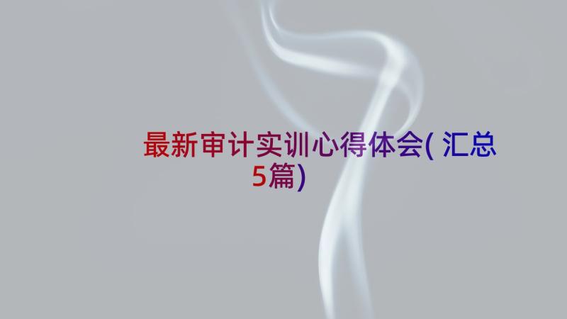 最新审计实训心得体会(汇总5篇)