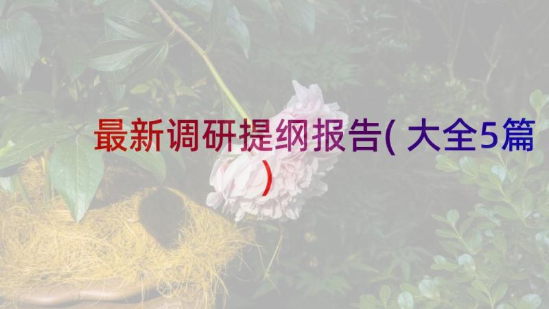 最新调研提纲报告(大全5篇)