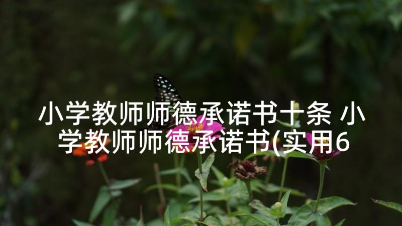 小学教师师德承诺书十条 小学教师师德承诺书(实用6篇)