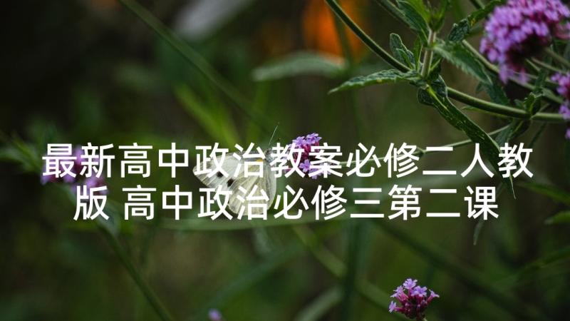 最新高中政治教案必修二人教版 高中政治必修三第二课教案(汇总5篇)