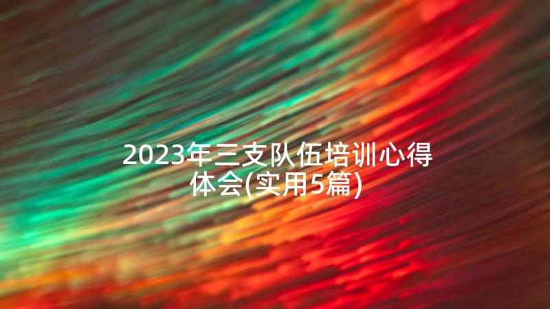 2023年三支队伍培训心得体会(实用5篇)