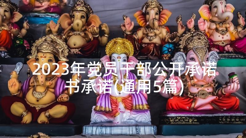 2023年党员干部公开承诺书承诺(通用5篇)