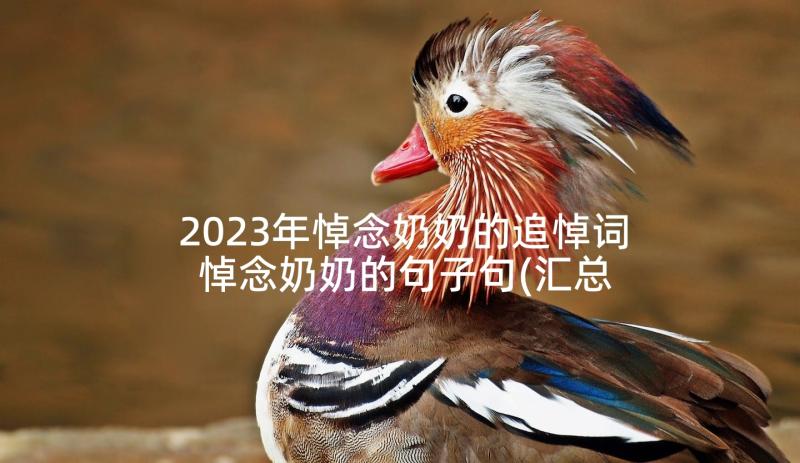 2023年悼念奶奶的追悼词 悼念奶奶的句子句(汇总5篇)