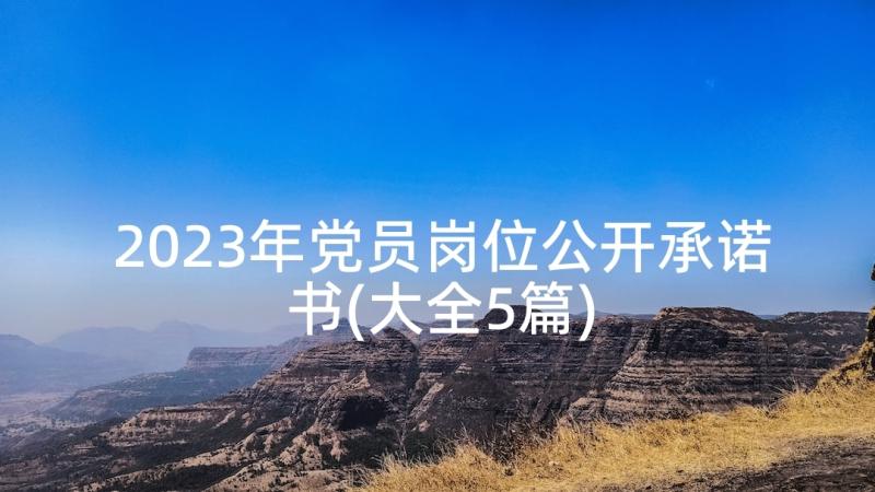 2023年党员岗位公开承诺书(大全5篇)