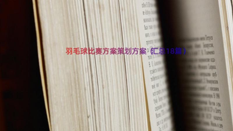 羽毛球比赛方案策划方案（汇总18篇）