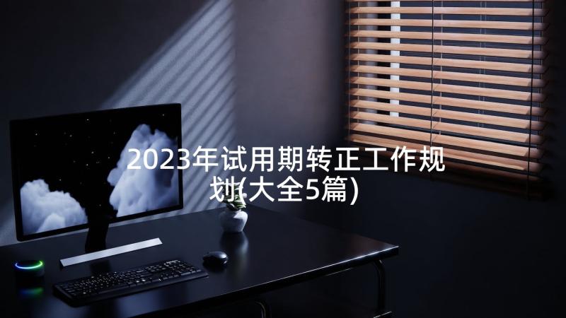 2023年试用期转正工作规划(大全5篇)