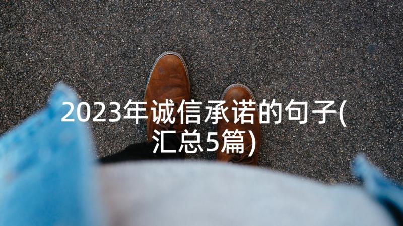 2023年诚信承诺的句子(汇总5篇)