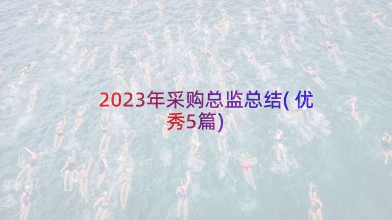 2023年采购总监总结(优秀5篇)