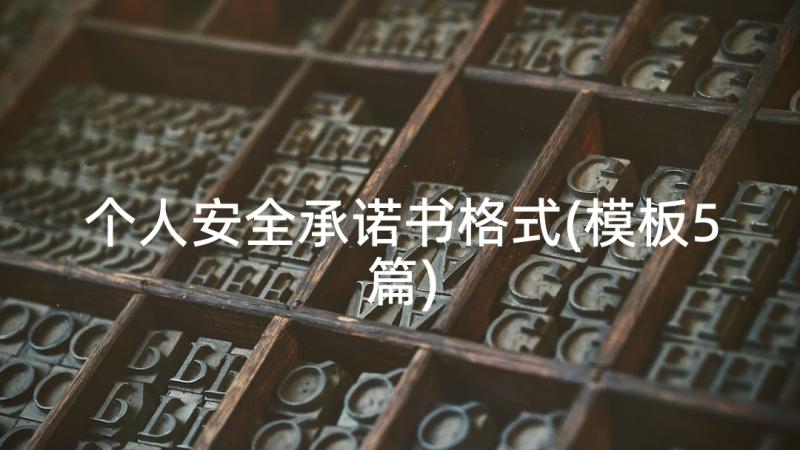 个人安全承诺书格式(模板5篇)