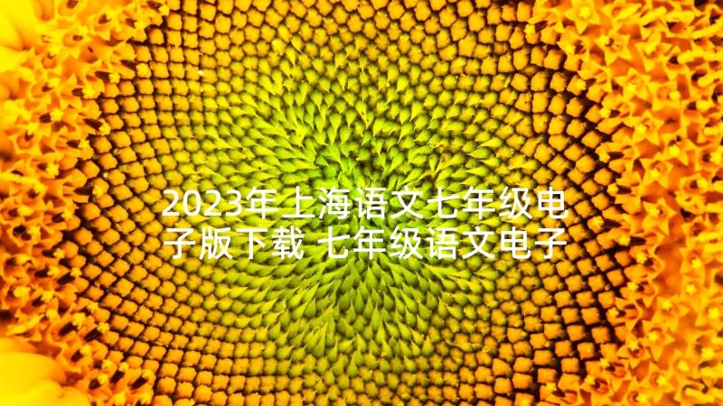 2023年上海语文七年级电子版下载 七年级语文电子版教案(优秀5篇)