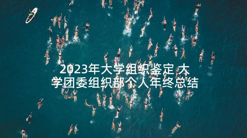 2023年大学组织鉴定 大学团委组织部个人年终总结(实用10篇)