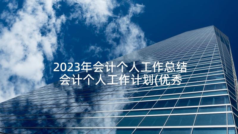 2023年会计个人工作总结 会计个人工作计划(优秀9篇)