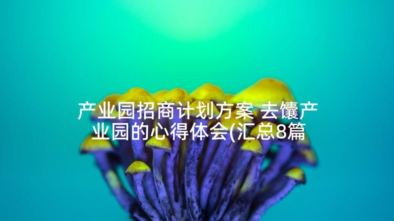 产业园招商计划方案 去馕产业园的心得体会(汇总8篇)