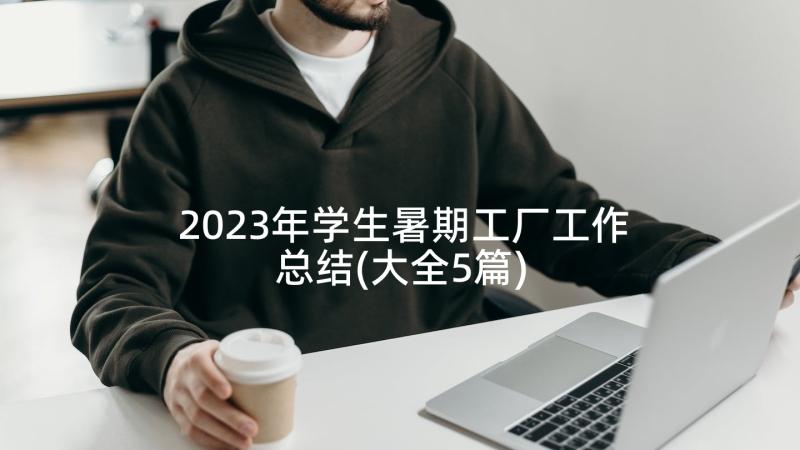 2023年学生暑期工厂工作总结(大全5篇)