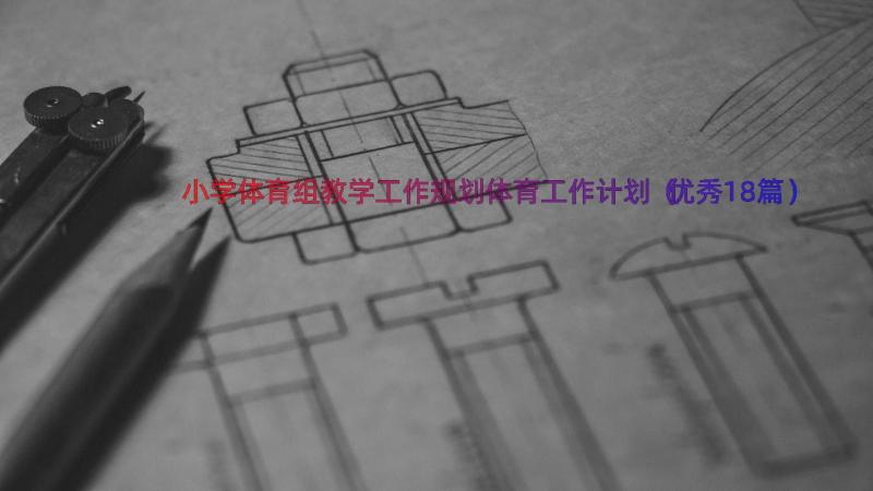 小学体育组教学工作规划体育工作计划（优秀18篇）