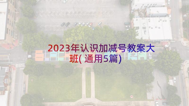 2023年认识加减号教案大班(通用5篇)