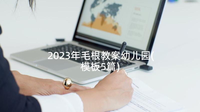 2023年毛根教案幼儿园(模板5篇)