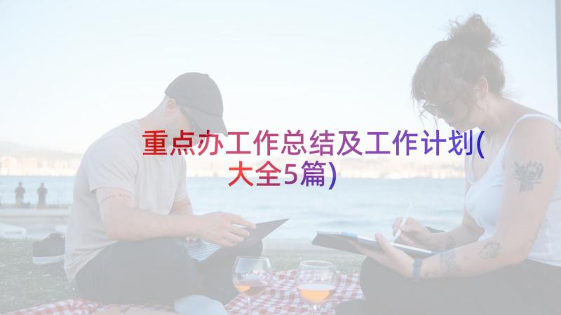 重点办工作总结及工作计划(大全5篇)