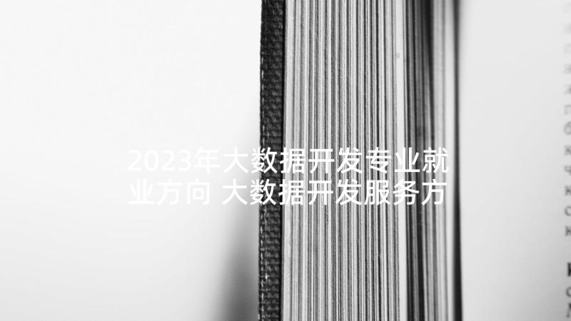 2023年大数据开发专业就业方向 大数据开发服务方案(大全5篇)